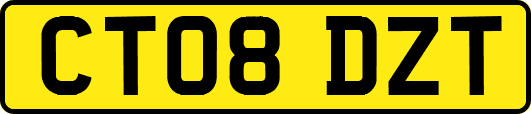 CT08DZT