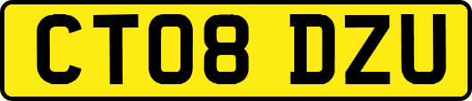 CT08DZU