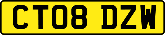 CT08DZW