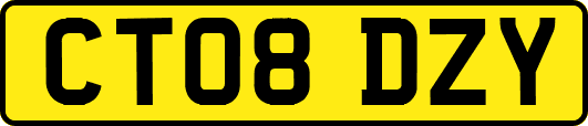 CT08DZY