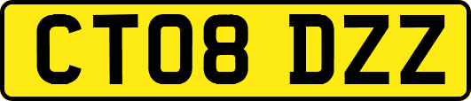 CT08DZZ