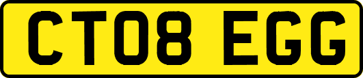 CT08EGG