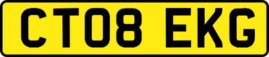 CT08EKG