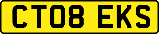 CT08EKS