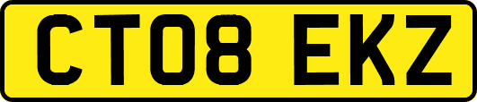 CT08EKZ