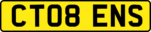 CT08ENS