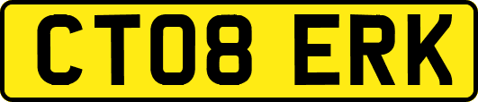 CT08ERK
