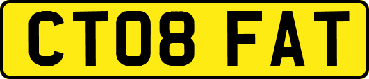 CT08FAT