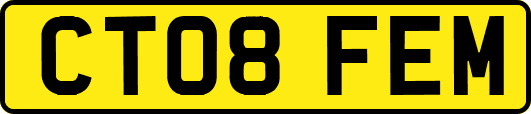CT08FEM