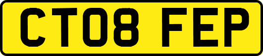 CT08FEP