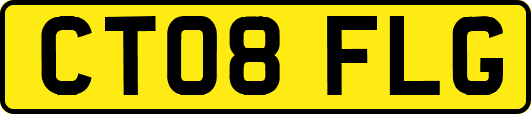 CT08FLG