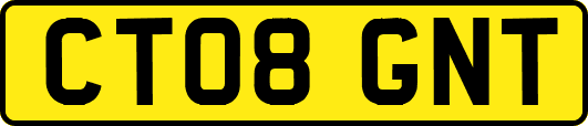 CT08GNT
