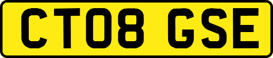 CT08GSE