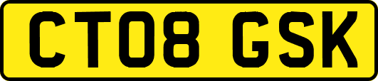 CT08GSK