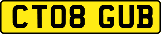 CT08GUB