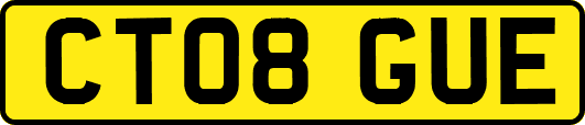 CT08GUE