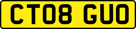 CT08GUO