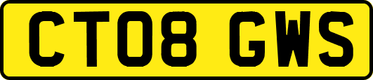 CT08GWS