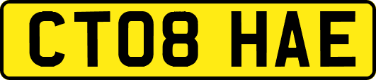 CT08HAE