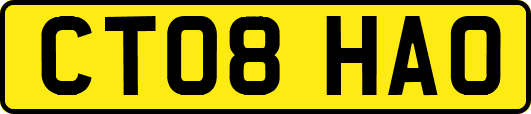 CT08HAO