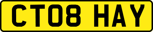 CT08HAY