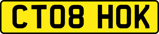 CT08HOK