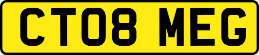 CT08MEG