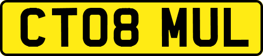 CT08MUL