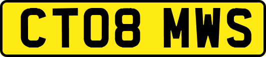 CT08MWS