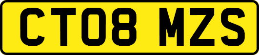 CT08MZS