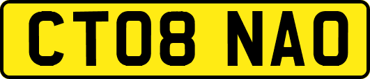 CT08NAO