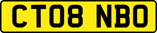 CT08NBO