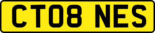 CT08NES
