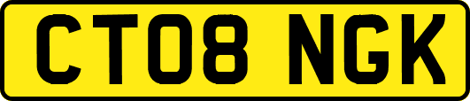 CT08NGK