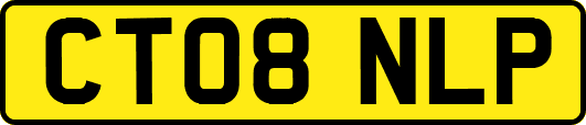 CT08NLP
