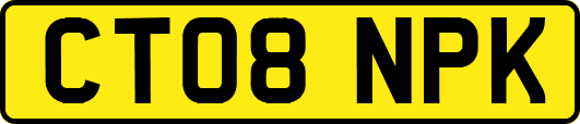 CT08NPK