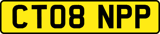 CT08NPP