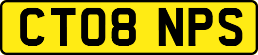 CT08NPS