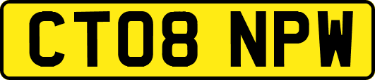 CT08NPW