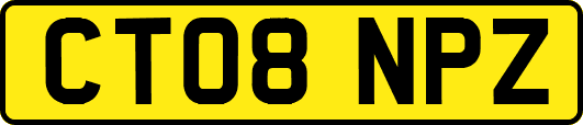 CT08NPZ