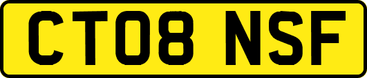 CT08NSF