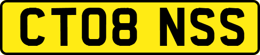 CT08NSS