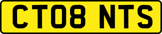 CT08NTS