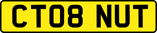 CT08NUT