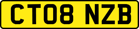 CT08NZB