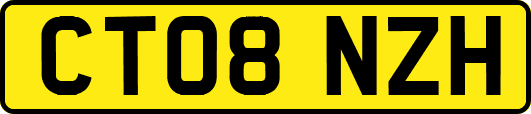 CT08NZH