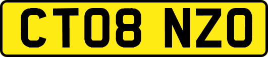 CT08NZO