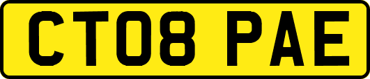 CT08PAE