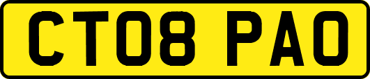 CT08PAO