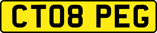 CT08PEG